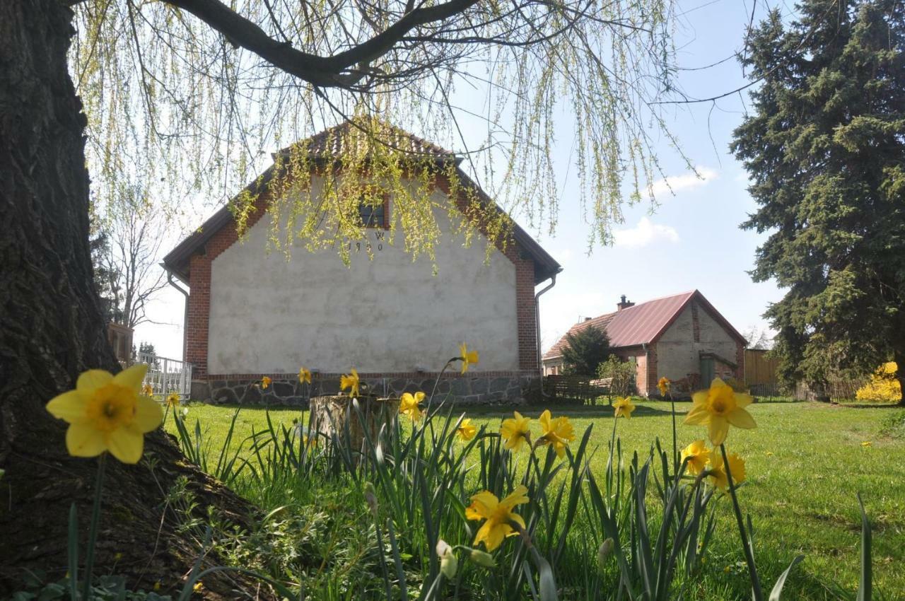 Ferienhaus Ilse-Bilse Neuhausen  Luaran gambar